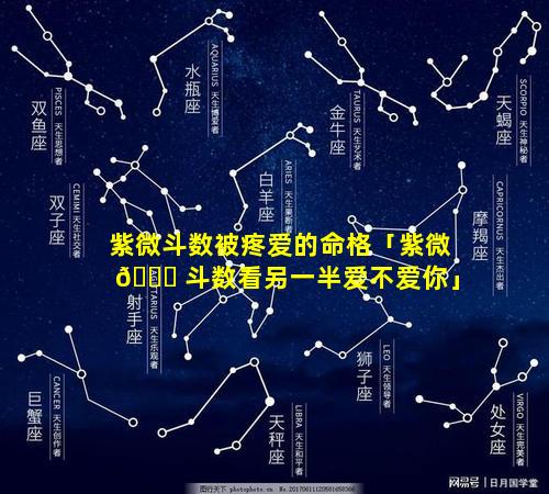紫微斗数被疼爱的命格「紫微 🐅 斗数看另一半爱不爱你」